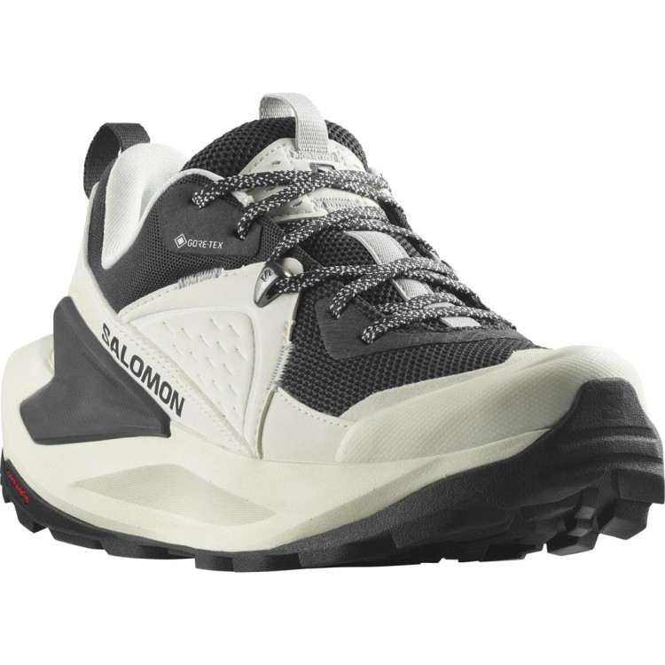 L47296700 salomon ELIXIR GTX W Vanilla Ice Phantom Metal.png.jpeg