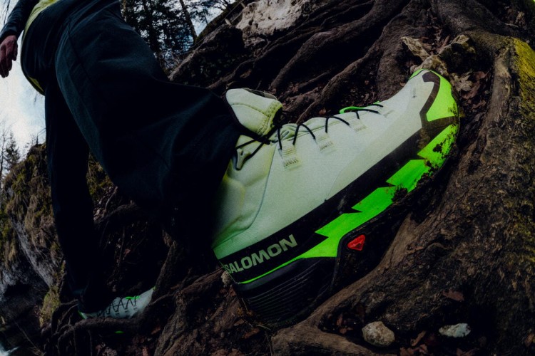 L47277700 SALOMON CROSS HIKE MID 2 GTX Desert Sage Green Gecko Chocolate Plum.jpeg