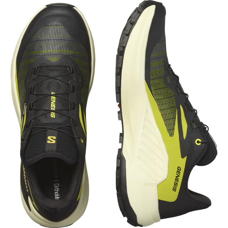 L47443100 GENESIS_Black_Sulphur Spring_Transparent Yellow.png