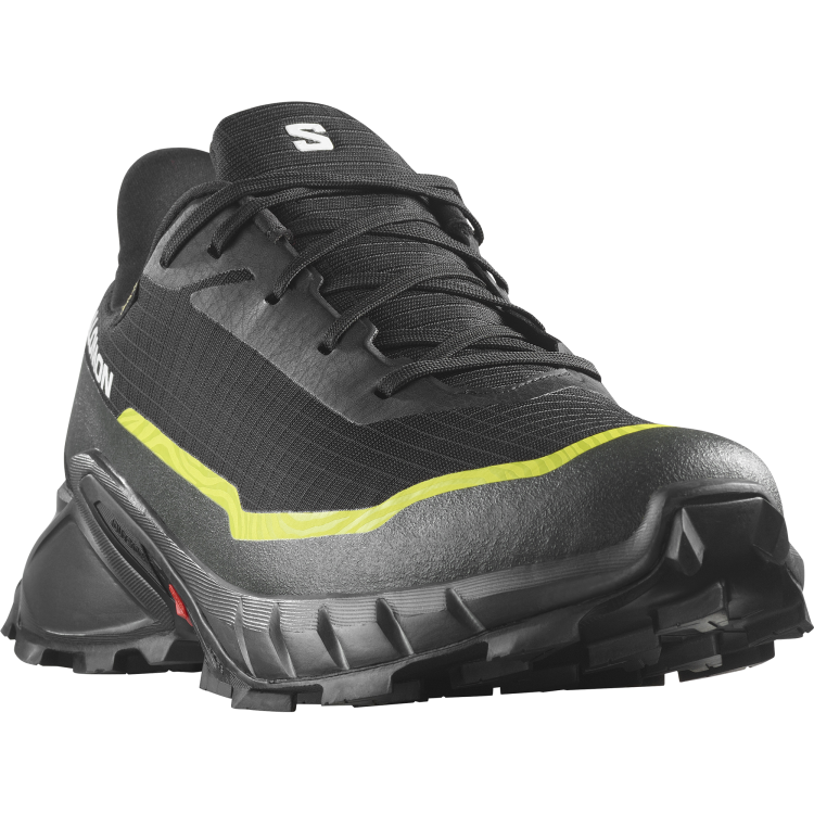 L47460400 ALPHACROSS 5 GTX Black Peat Sulphur Spring TatraStore.png