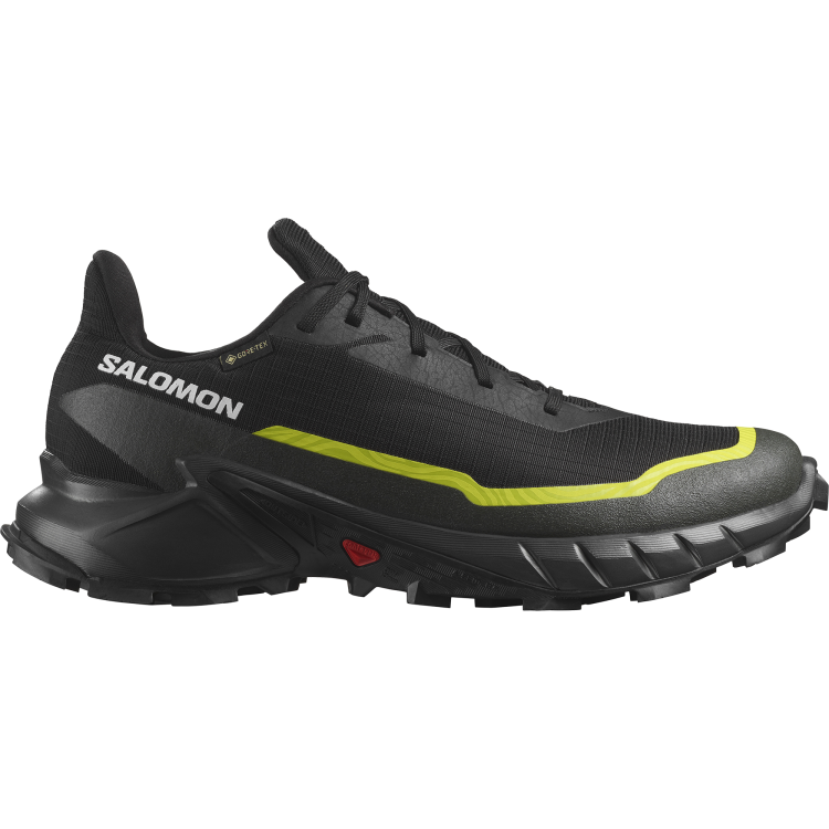 L47460400 ALPHACROSS 5 GTX Black Peat Sulphur Spring.png