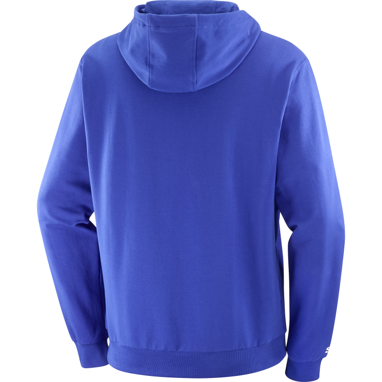 LC2246600_1_GHO_sallogoperfhoodie_surftheweb_sportswear_m.png