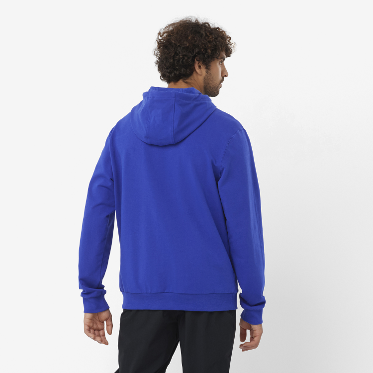LC2246600_1_MOD_sallogoperfhoodie_surftheweb_sportswear_m.png