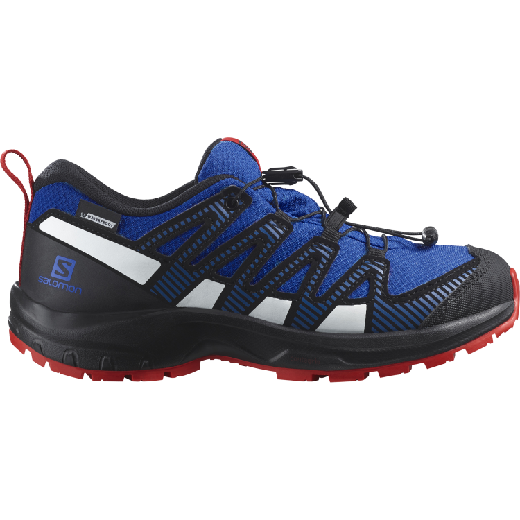 L47126200 XA PRO V8 CSWP J Lapis Blue Black Fiery Red.png