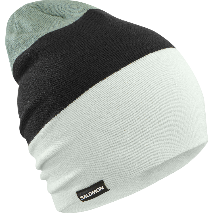 LC2302600 flatspin reversible beanie misty blue