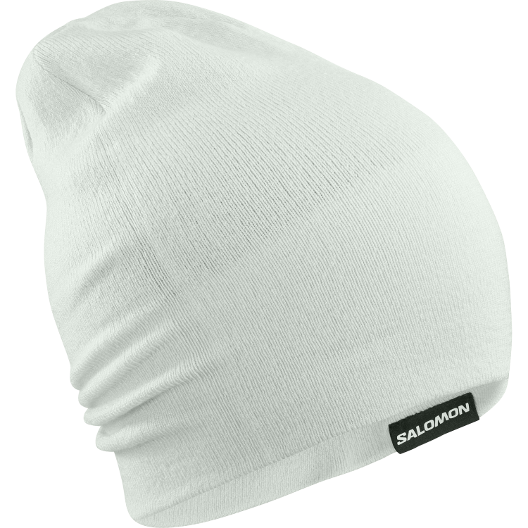 LC2302600 flatspin reversible beanie misty blue