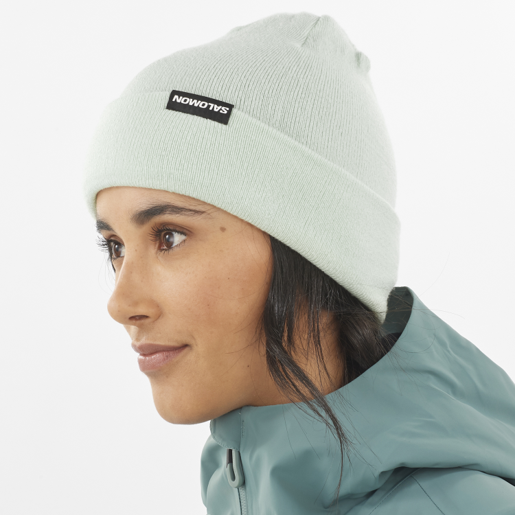 LC2302600 flatspin reversible beanie misty blue