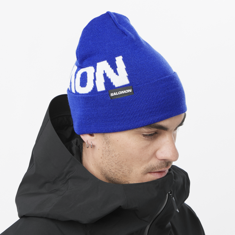 LC2366400 hermitage beanie surf the web
