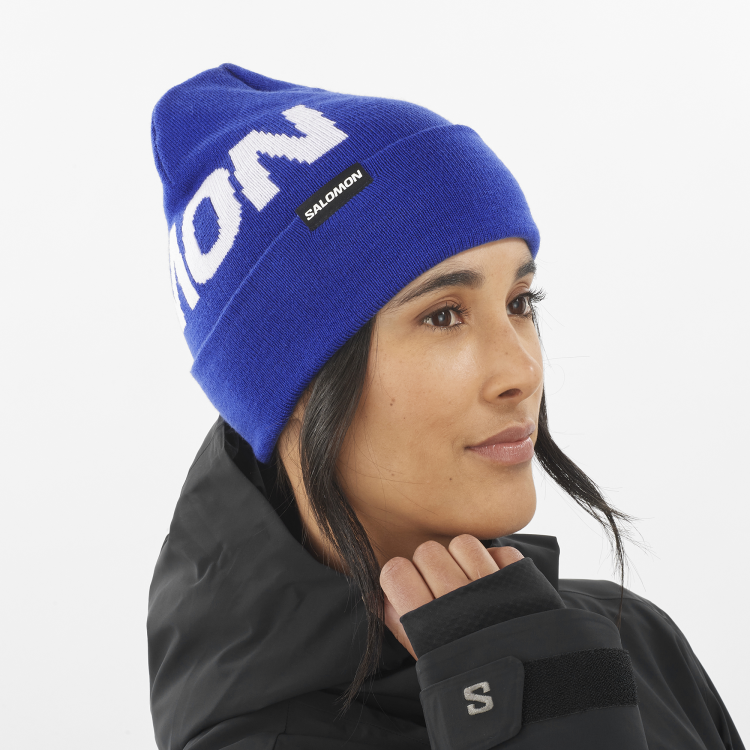 LC2366400 hermitage beanie surf the web
