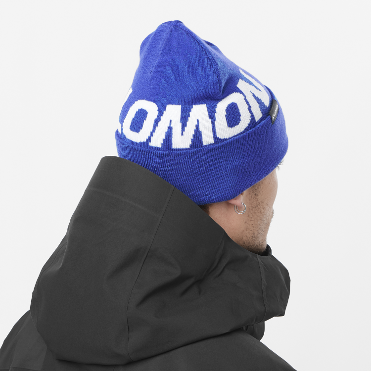 LC2366400 hermitage beanie surf the web