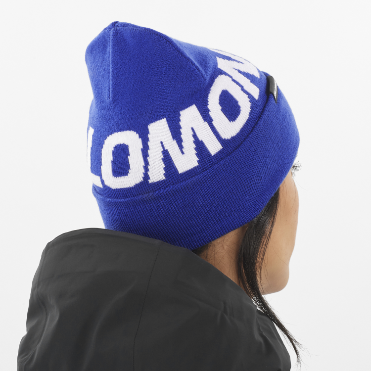 LC2366400 hermitage beanie surf the web