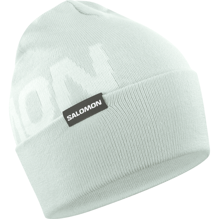 LC2366300 hermitage beanie misty blue