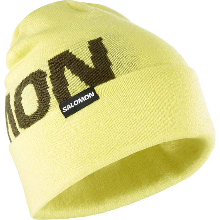 Czapka Salomon HERMITAGE BEANIE Charlock TatraStore 1.png