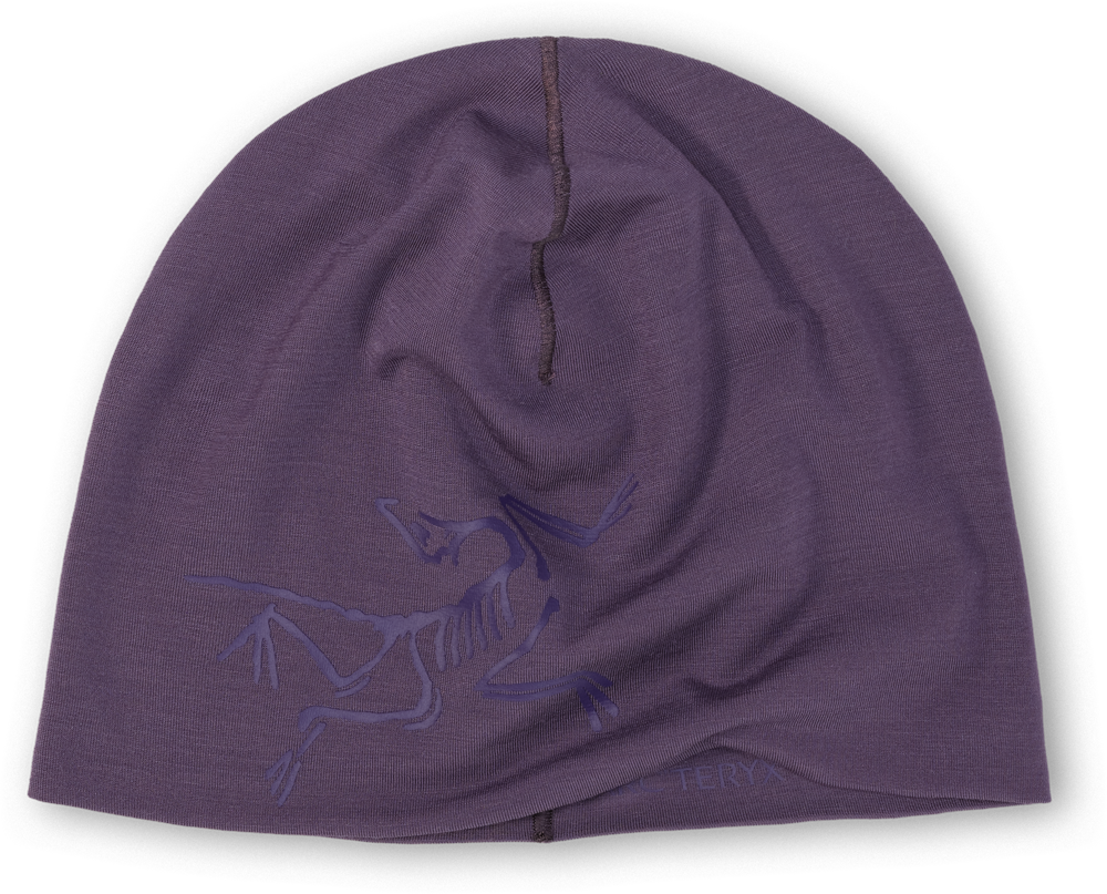 Czapka Arcteryx Satoro Merino Toque Moondrop