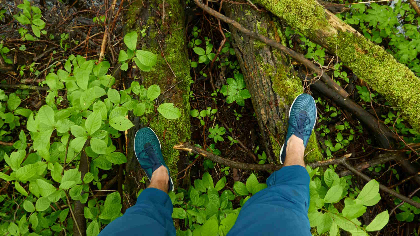 Czym się różnią buty trekkingowe od zwykłych?